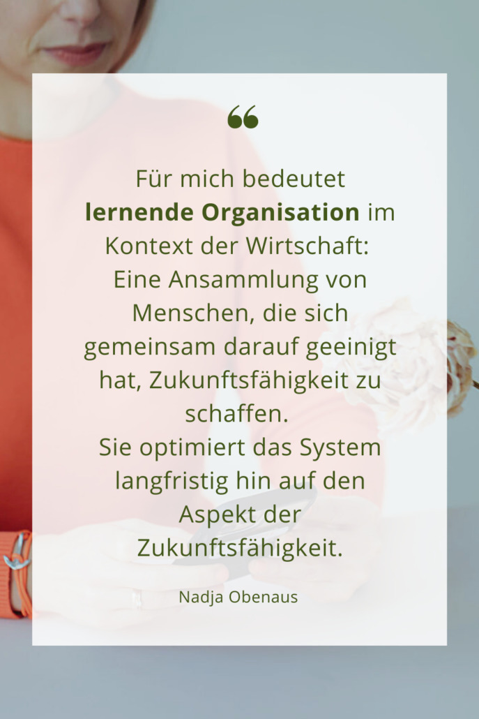 Nadja_Obenaus_lernende_Organisationen